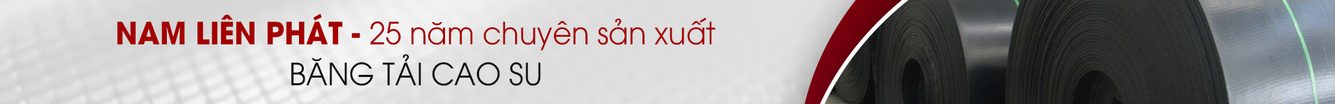 BĂNG TẢI CAO SU